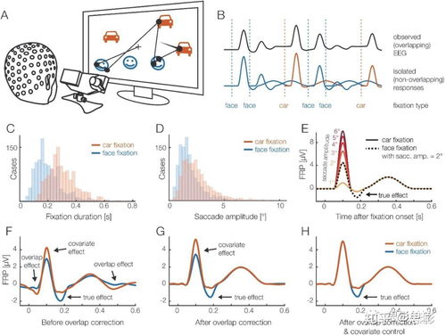 思影科技眼動數據處理服務與軟件開發，賦能精準視覺洞察