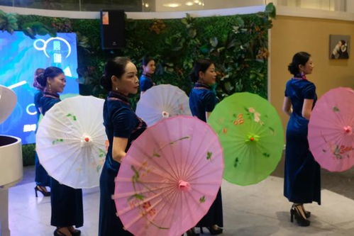 品牌天下戰(zhàn)略合作晨曦藝術(shù)公司會(huì)員主題活動(dòng)圓滿舉行